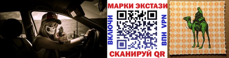 купить закладку  Болотное  Наркотические марки 1,8мг 
