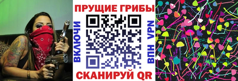 Псилоцибиновые грибы мицелий  наркотики  Болотное 